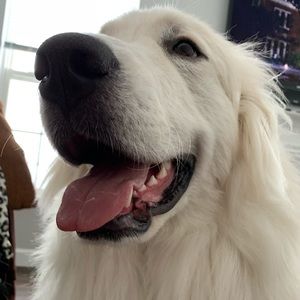 Meet your Posher, Brooke